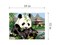 Needlepoint canvas for halfstitch without yarn The Panda SE926.207 Seg De Paris Printed Tapestry Canvas